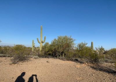 Hiking in the Desert West of Tucson