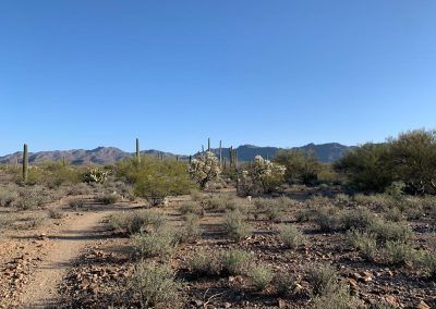 Tucson, Arizona Desert hiking