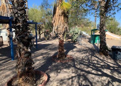 Rv Park with Dog Run, Tucson, Arizona